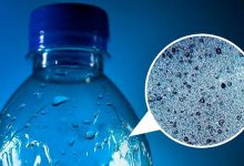 Photo of Угрожает ли нашему здоровью микропластик в продуктах?